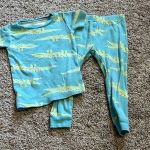 Kids Alligator Print Pajamas - Blue and Green
